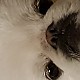 토리맘