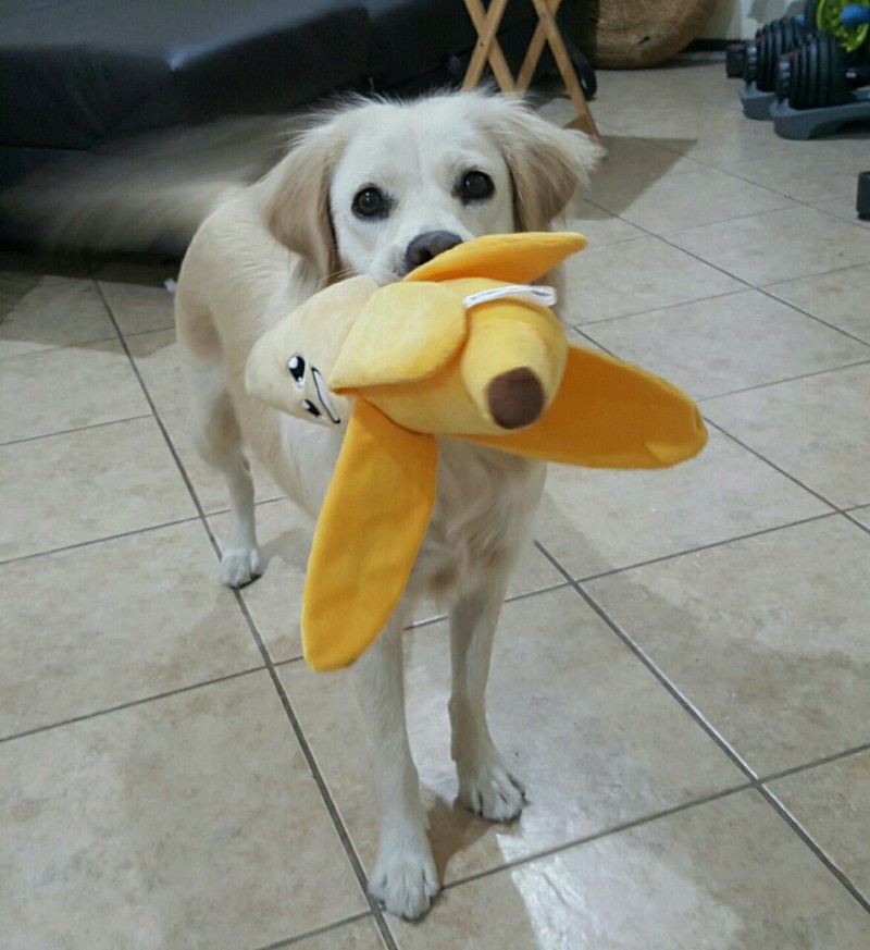 0f99b0344625285b622ab2925d5b005f_1512159251_65.jpeg